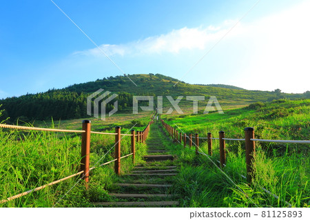 Baekyak Oreum, Dongsan, rural area, plain, grassland, nature, scenery, Baekyak Oreum, Dongsan, rural area, plain, grassland, nature, scenery, 81125893