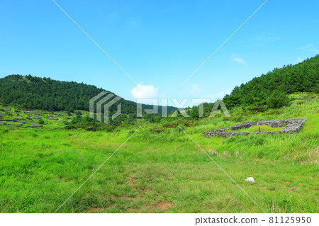 濟州鄉村景觀，草原，平原，綠色，牧場，田野，鄉村， 81125950