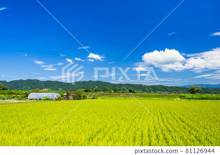 安曇野夏日鄉村 安曇野夏日鄉村 81126944