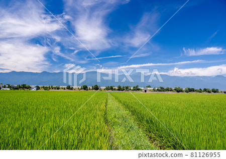安曇野夏日鄉村 81126955