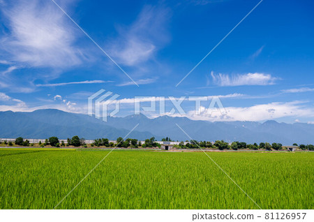 夏日田園風光安曇野市 81126957