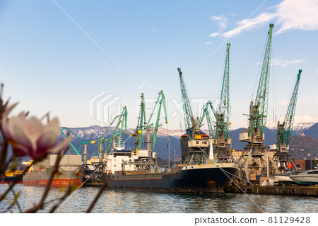 Cargo terminal of Batumi Seaport with loading cranes 81129428