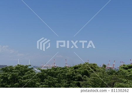 Negishi Forest Park 81130262