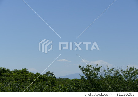 根岸森林公園 根岸森林公園 81130293