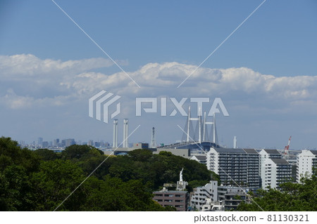 Negishi Forest Park 81130321