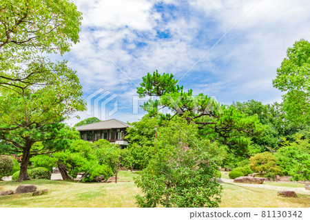 Kijo Park, a famous place for cherry blossoms in Kariya city <Kariya city, Aichi prefecture> Kijo Park, a famous place for cherry blossoms in Kariya city <Kariya city, Aichi prefecture> 81130342