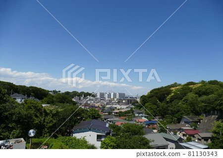 Negishi Forest Park Negishi Forest Park 81130343