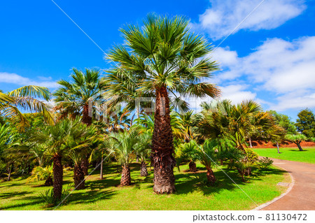 Madeira Botanical Garden in Funchal, Portugal 81130472