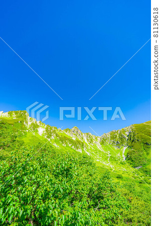 Scenery of Senjojiki Cirque in summer [Nagano Prefecture] 81130618