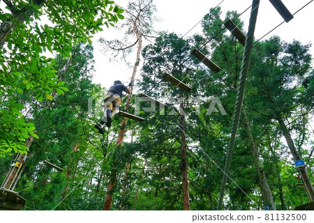 Full-scale athletic course in the forest Full-scale athletic course in the forest 81132500
