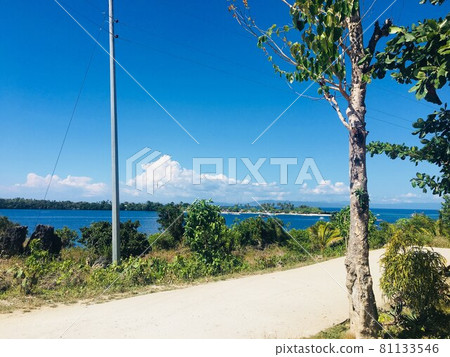 樹木和海洋 樹木和海洋 81133546