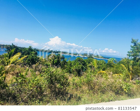 草與海 草與海 81133547