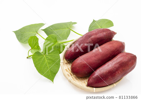 Sweet potatoes with leaves on a white background 81133866