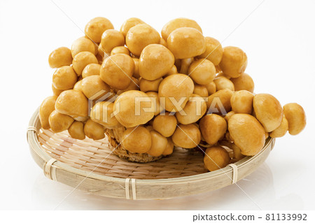 帶軸滑冰 81133992