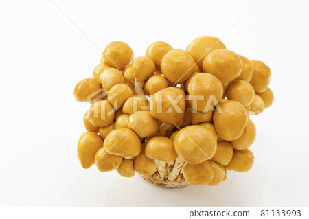 帶軸滑冰 81133993