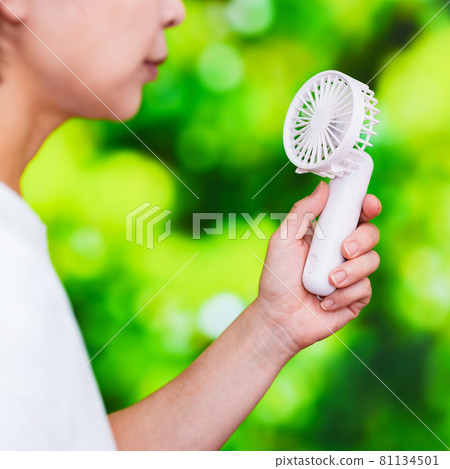 Handy fan Handy fan without mask [Summer image] 81134501