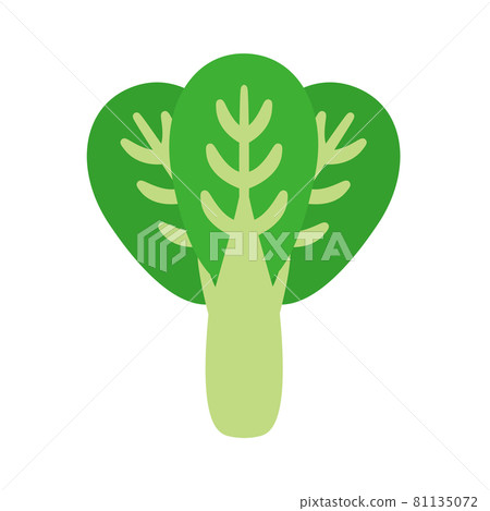 蔬菜/芥末菠菜 蔬菜/芥末菠菜 81135072