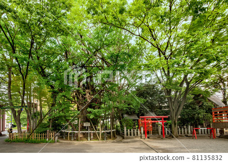 Inage Shrine in Kawasaki City, Kanagawa Prefecture 81135832