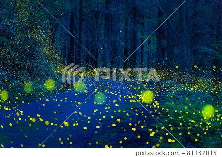 Hotaria parvula flying like a waterfall 81137015
