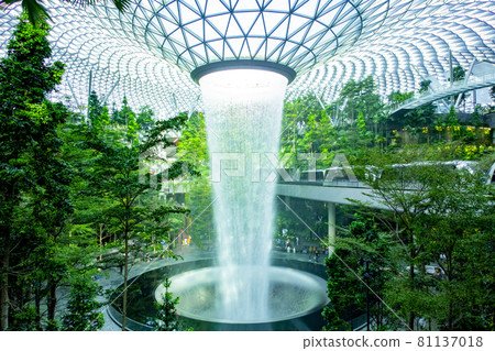 Singapore Changi Airport 81137018