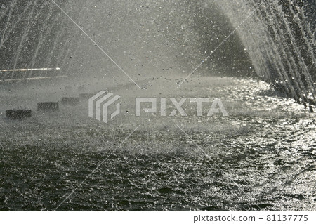 Park fountains and splashes 81137775