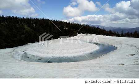 八幡平 / 龍眼 [5月] 81138121