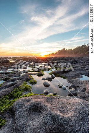 Botanical Beach on the West Coast of Pacific Ocean. Botanical Beach on the West Coast of Pacific Ocean. 81138997