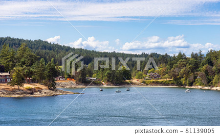 View of Beautiful Gulf Islands during a sunny day. 81139005