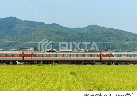 Hokuriku Main Line Isurugi-Fukuoka JR West 485 series Y31 formation ② Moha 484-330 (Kanazawa) mountain side 81139604