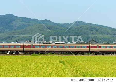 Hokuriku Main Line Isurugi-Fukuoka JR West 485 series Y33 formation ① Moha 484-262 (Kanazawa) mountain side Hokuriku Main Line Isurugi-Fukuoka JR West 485 series Y33 formation ① Moha 484-262 (Kanazawa) mountain side 81139607