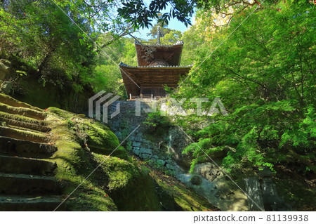 [香川縣]四國朝聖No.71 Fudasho“深綠色的秋天Yadani Temple”（Tahoto） 81139938