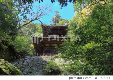 [香川縣]四國朝聖No.71 Fudasho“深綠色的秋天Yadani Temple”（Tahoto） 81139944