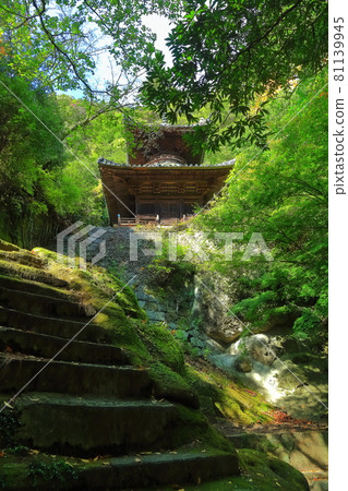 [香川縣]四國朝聖No.71 Fudasho“深綠色的秋天Yadani Temple”（Tahoto） 81139945