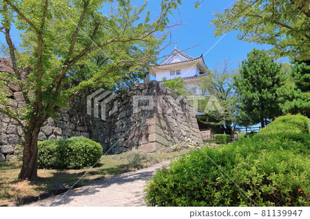 [Kagawa Prefecture] Summer Marugame Castle (existing castle tower and stone wall famous castle) 81139947
