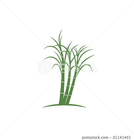 Sugar cane plant logo 81141401