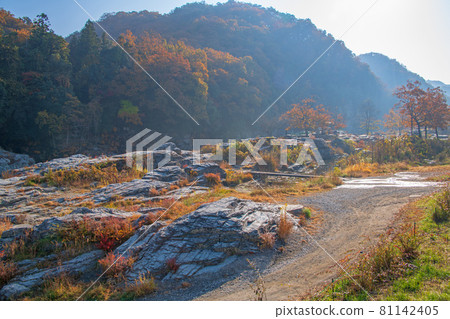 荒川,近長瀞岩海碼頭,秋景,秋葉景 荒川,近長瀞岩海碼頭,秋景,秋葉景 81142405