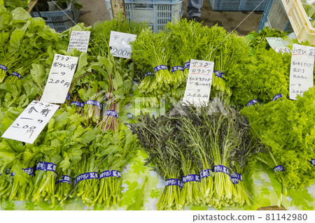 Kamakura vegetables Leaf vegetables Kamakura vegetables Leaf vegetables 81142980