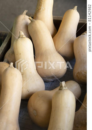 Kamakura vegetables butternut squash 81142982