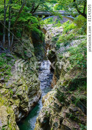 Summer Valley 81143205