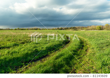 The road through the pasture and the cloudy sky The road through the pasture and the cloudy sky 81143609