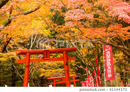 Autumn leaves of Dazaifu Tenmangu Shrine and Tenkai Inari Shrine 81144373