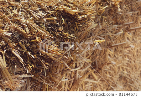 Hay in a bale in a sunny day close-up. Food product for farm animals, farming concept Hay in a bale in a sunny day close-up. Food product for farm animals, farming concept 81144673