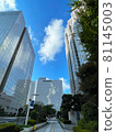 Shinjuku scenery Tochomae 81145003