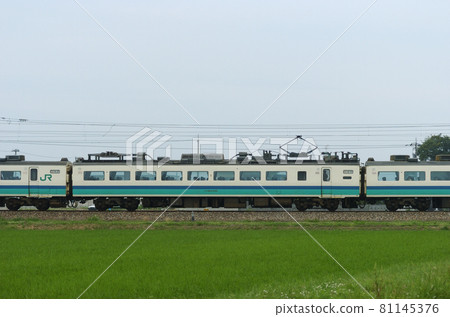 北陸本線五十鈴福岡JR東485系T12編隊②茂葉484-1015（新潟）山側 81145376