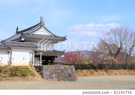 城門和梅花 宮城縣白石市本丸廣場白石城正門和梅花 81145756