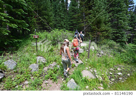 Hikers on Hassell Lake Trail in Arapaho National Forest, Colorado. Hikers on Hassell Lake Trail in Arapaho National Forest, Colorado. 81146190