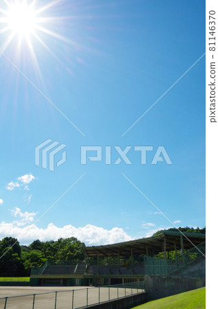 Baseball stadium under the scorching sun 81146370
