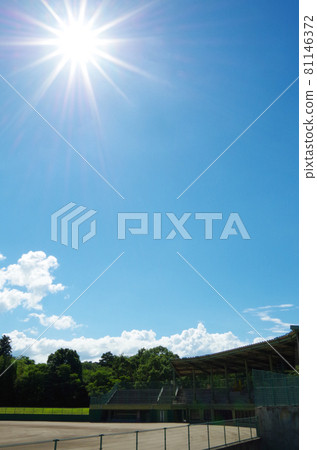 Baseball stadium under the scorching sun 81146372