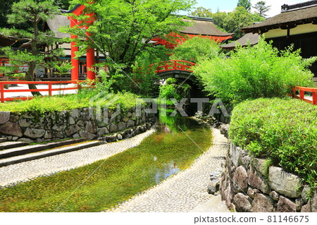 世界遺產下鴨神社御手梨川 世界遺產下鴨神社御手梨川 81146675