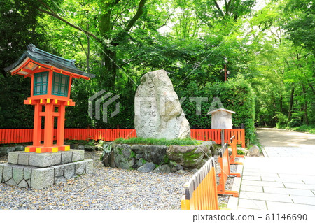 World heritage Tadasu no Mori and Shimogamo Shrine World heritage Tadasu no Mori and Shimogamo Shrine 81146690